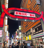 日本風俗·AV女優情報